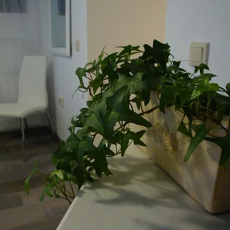 Sonja's Nest Apartment